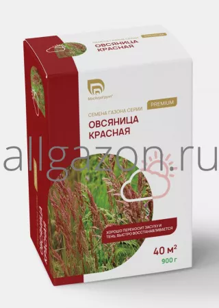 Семена Овсяница Красная Максима (900 г)